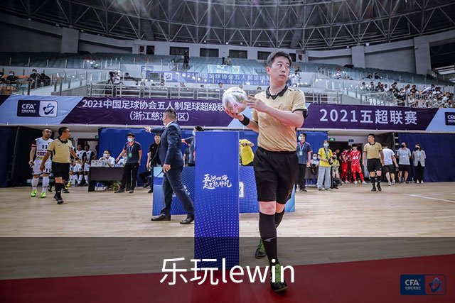乐玩lewin公司简介